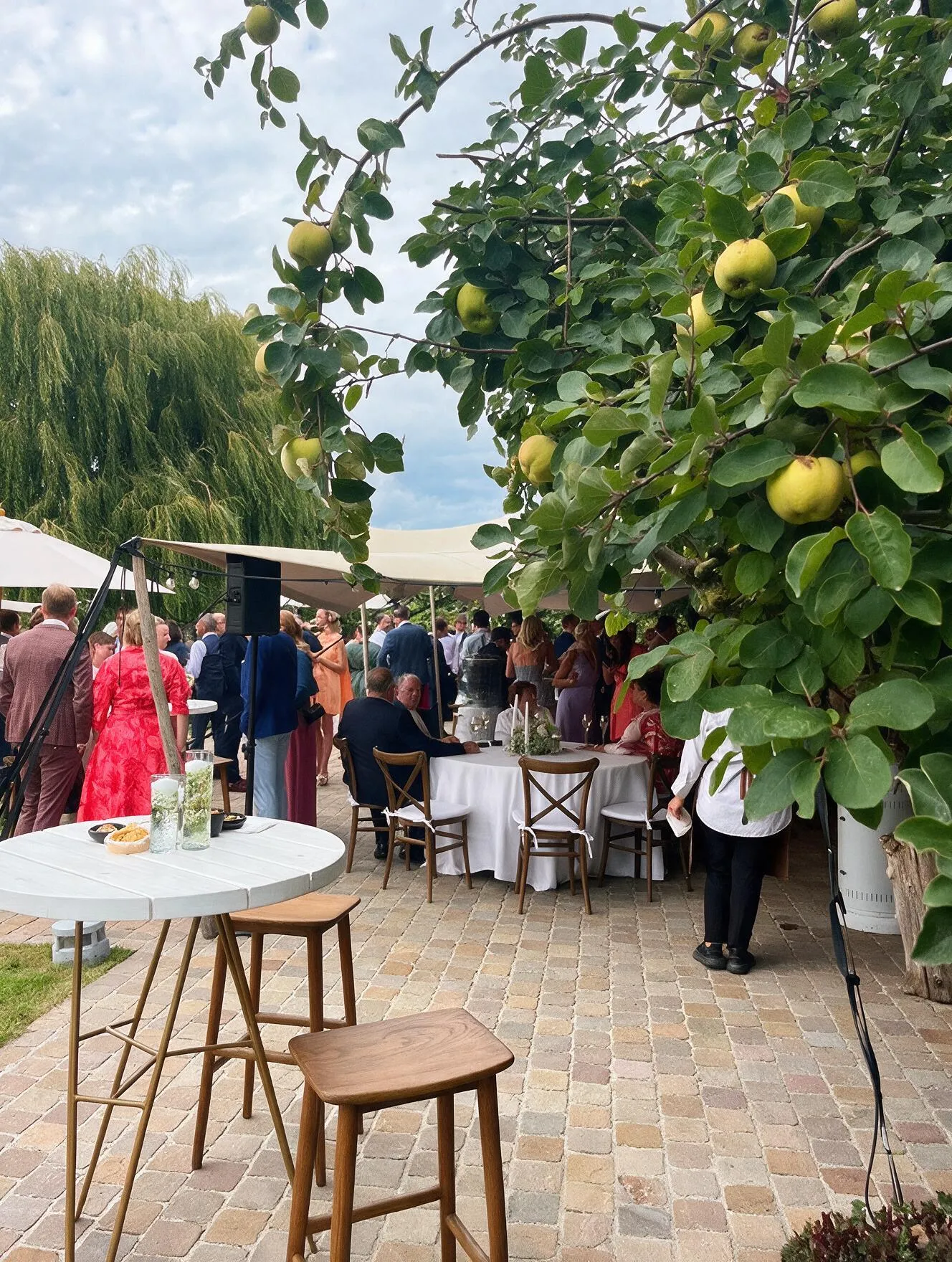 Receptie op de gekasseide koer onder de kweeperenboom van Speghelhof